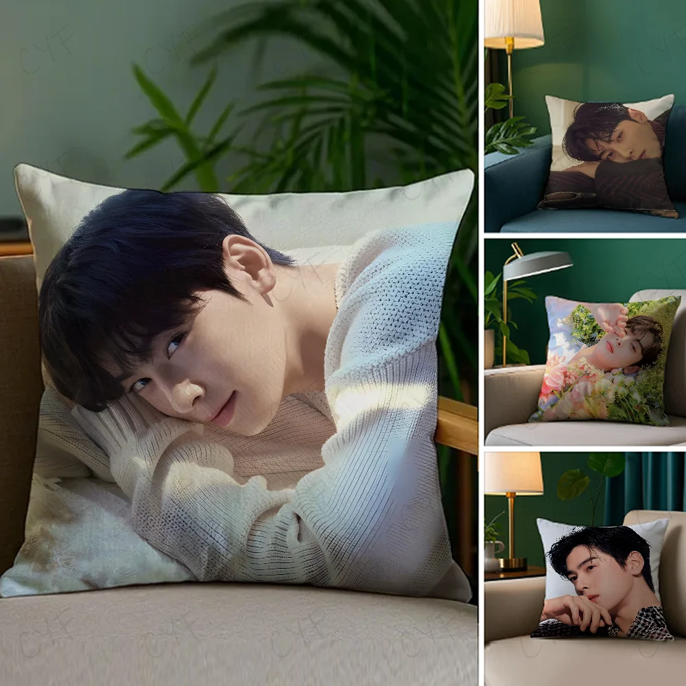 

kpop Singer Cha E-Eun W-Woo Pillow Case Anti-dustmite Pillowcase Invisible zipper silky short plush Sofa cushion cover