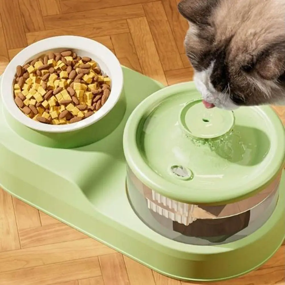 Thumbnail 4 - #73 Automatic Dog Feeders Comparison Guide