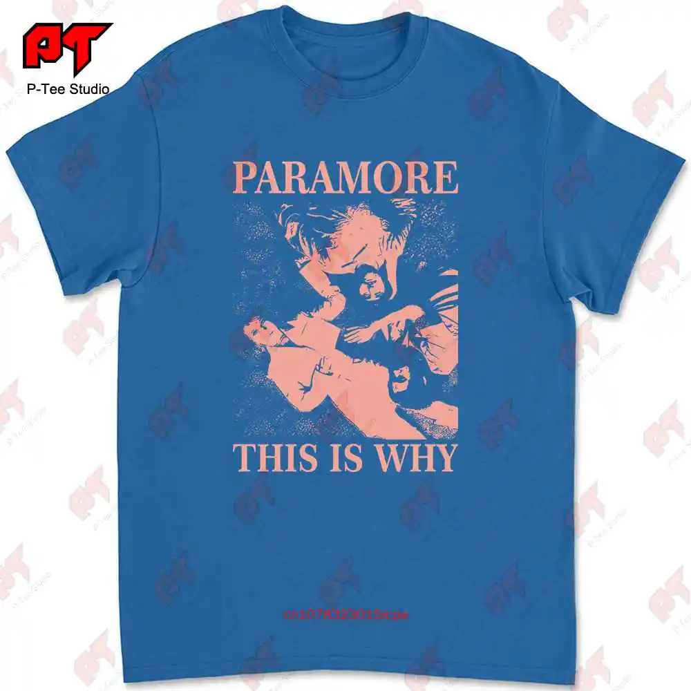 Vintage Paramore This Is Why T Shirt Rock Band Hayley Williams Merch Musi KOUH