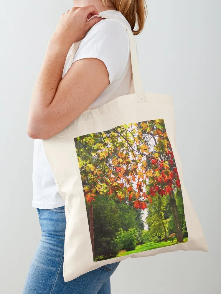 

Autumn Acer Tree Westonbirt Arboretum Cotswolds Gloucestershire Tote Bag shopper bags custom canvas bag eco bag folding