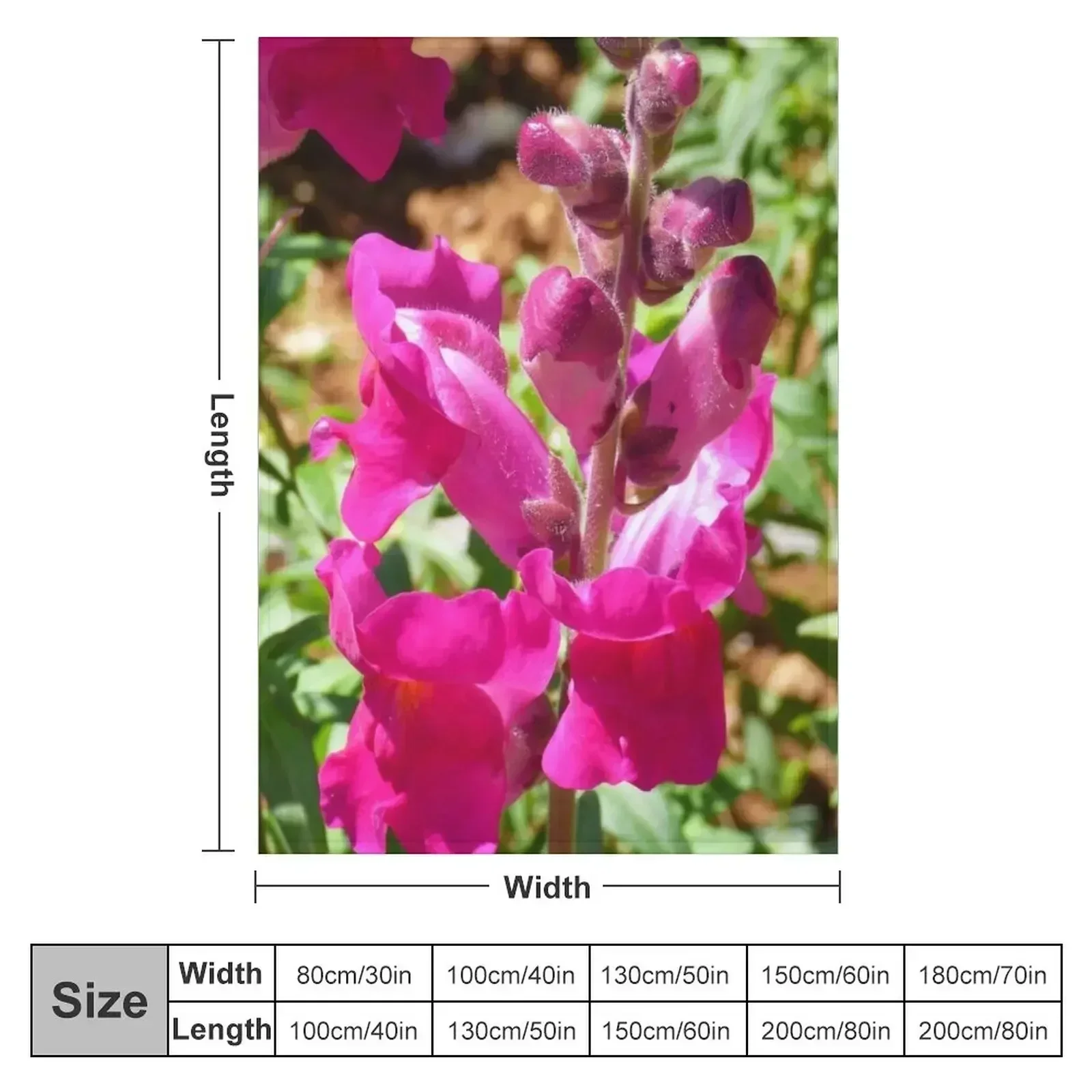 Snapdragon pink flowers Throw Blanket Shaggy Luxury St Soft Plush Plaid Sofas Blankets