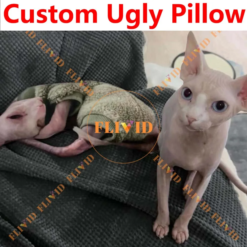 

Custom 3D Ugly Cat/Dog Zany Pillow,Hot Funny Pet Shape Pillow,Personalized Photo Pillow ,Pet Loss Memorial Gift,Pet Lover Gift