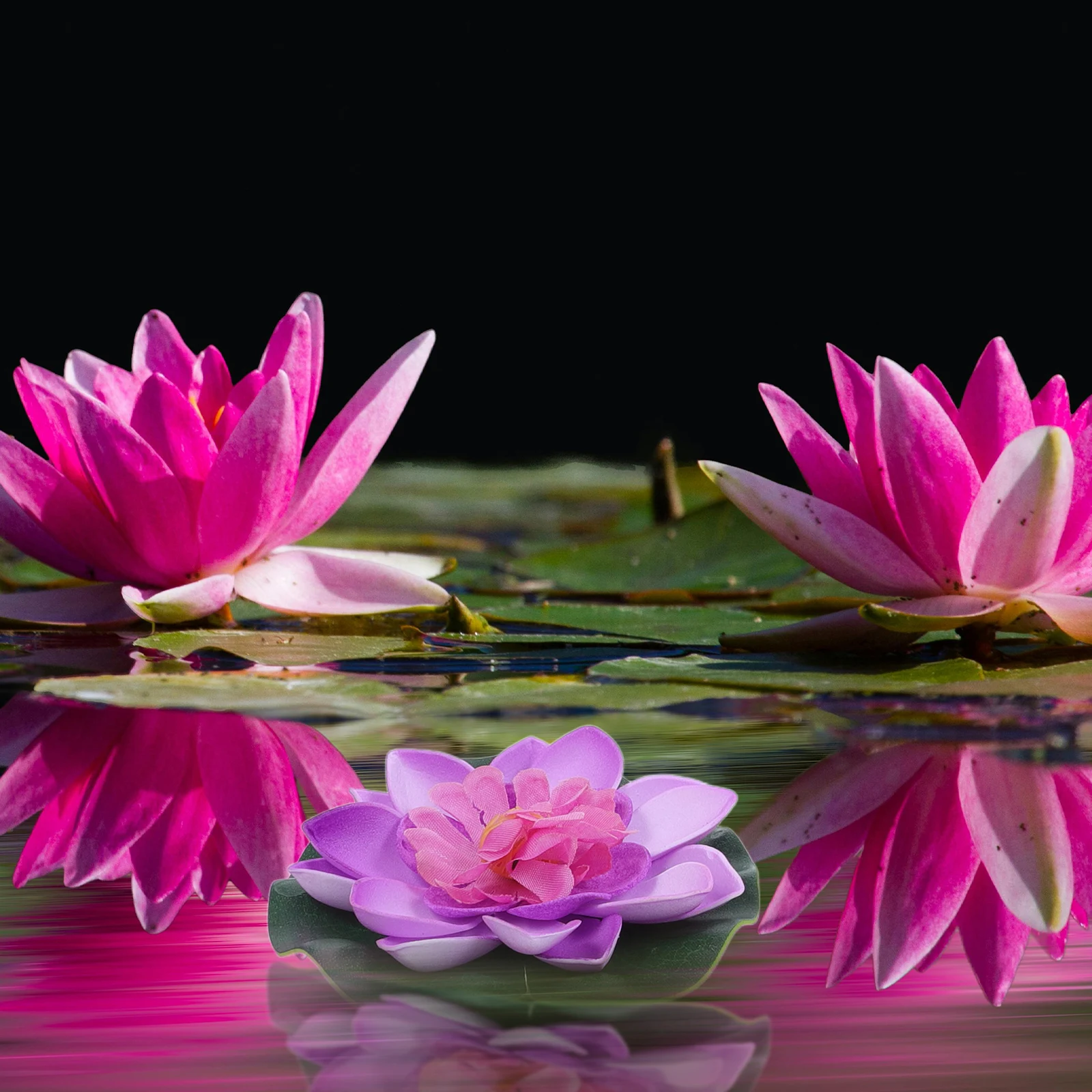

4pcs Artificial Water Lily Plants Floating Flowers Realistic EVA Material for Pool Pond Aquarium Garden Decor simulation flower