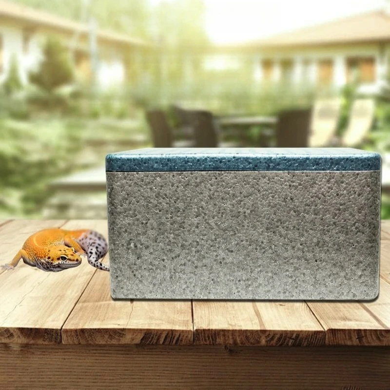 

Reptiles Incubator Constant Temperature Large Capacity Reptile Incubator Lizard Snake Hatch Box with Heating Pad Reptile Brooder