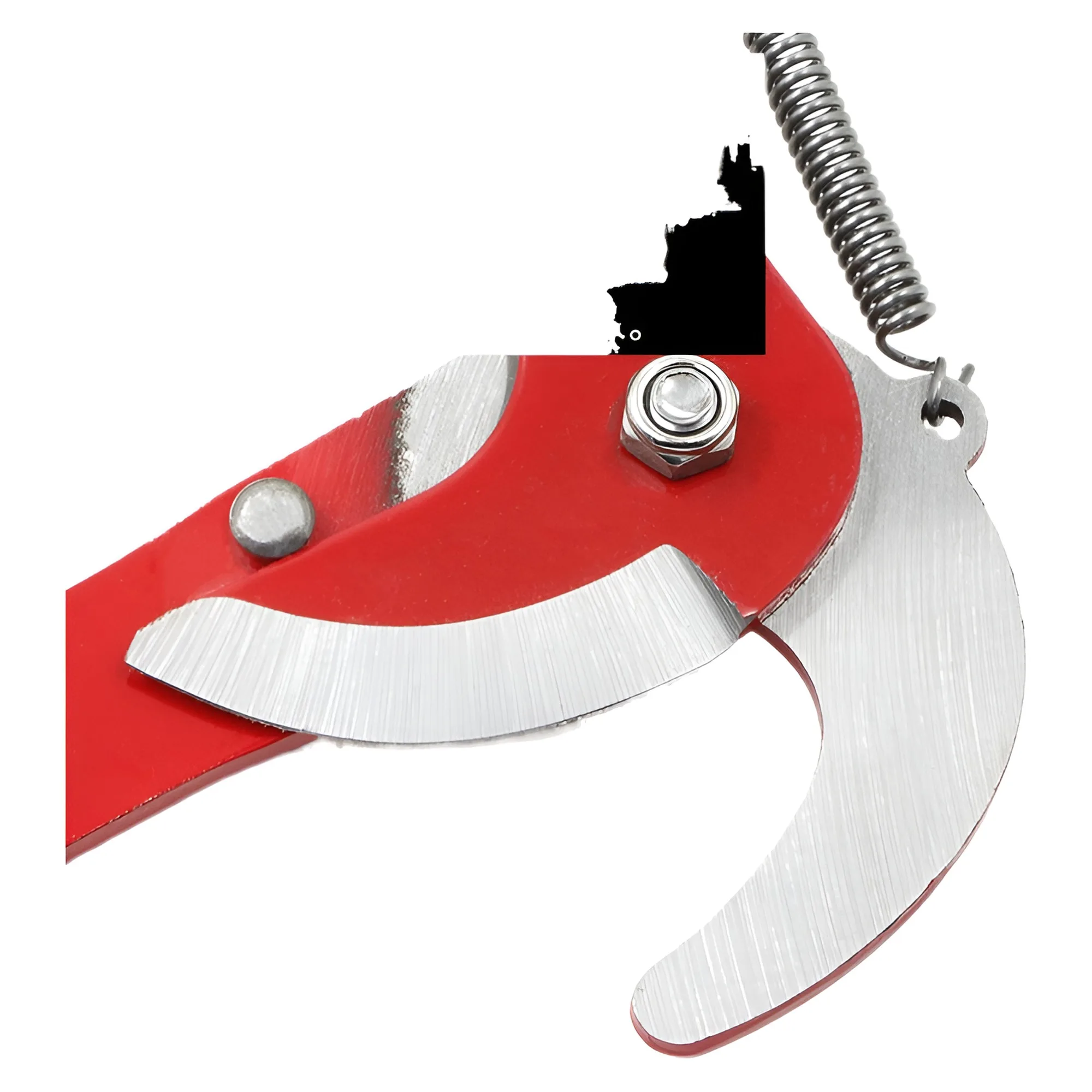 

Телескопическая секатор для деревьев - Выдвижной резак для ветвей для сада с веревкой - Лезвие из высокоуглеродистой стали для обрезки фруктовых деревьев