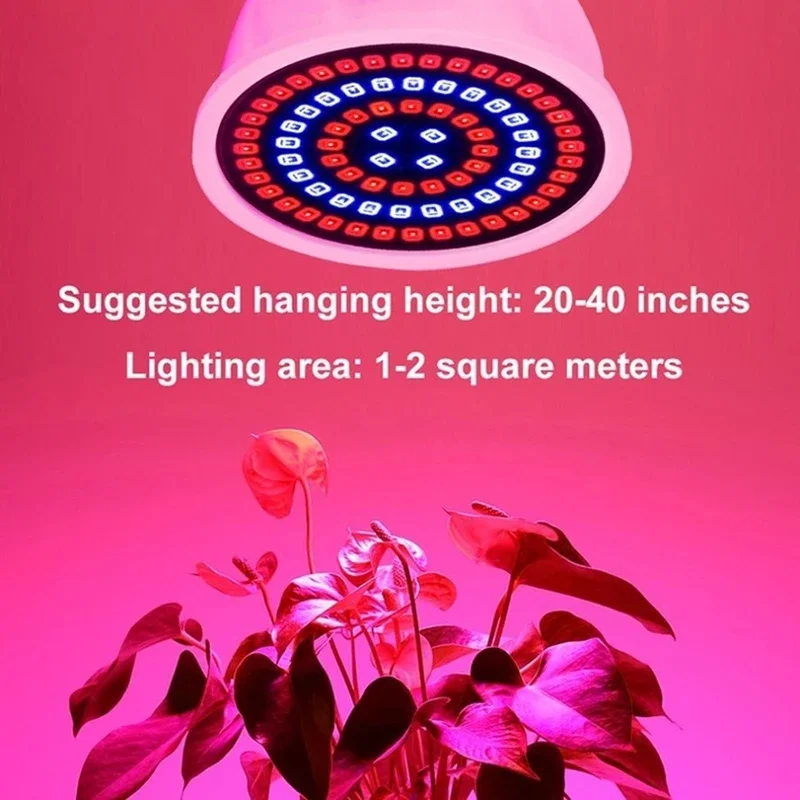 LED Planta Crescer Copo de Luz Indoor Preenchimento Hidropônico Lâmpada de Espectro Completo Roxo Lâmpada de Crescimento de Plantas E27 220V