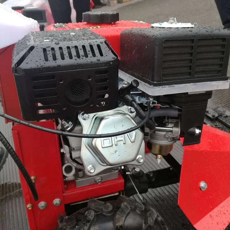 Tondeuse à Gazon Modèle 170F pour Verger, Diesel, Enge, Jane, Récolte Agricole