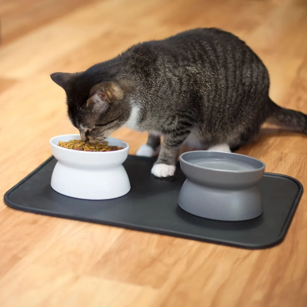Ergonomic Elevated Cat Bowls Set with Non Slip Mat