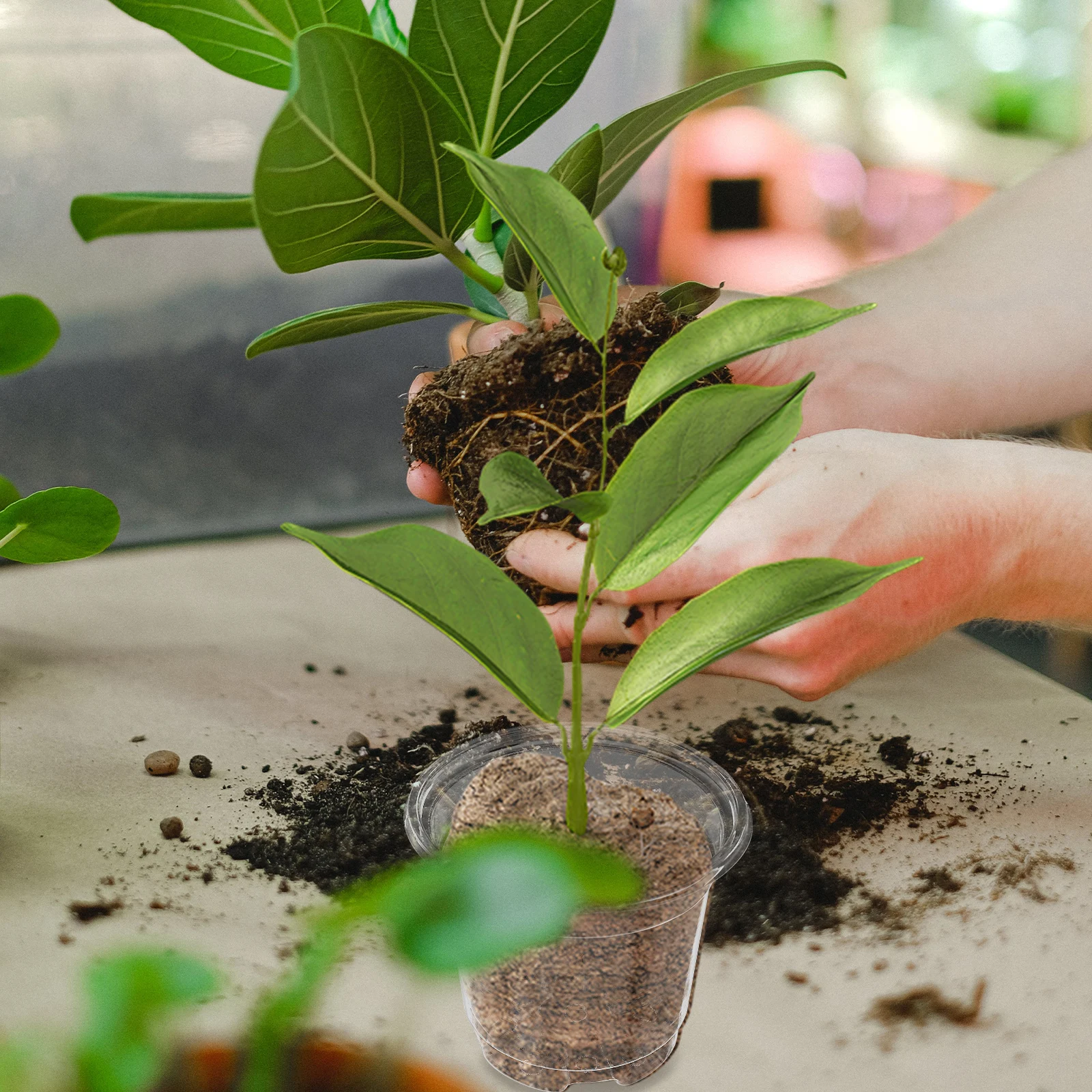 

20Pcs Transparent Plastic Plant Nursery Pots Thickened Durable Breeding Containers for Succulent Flower Indoor Outdoor