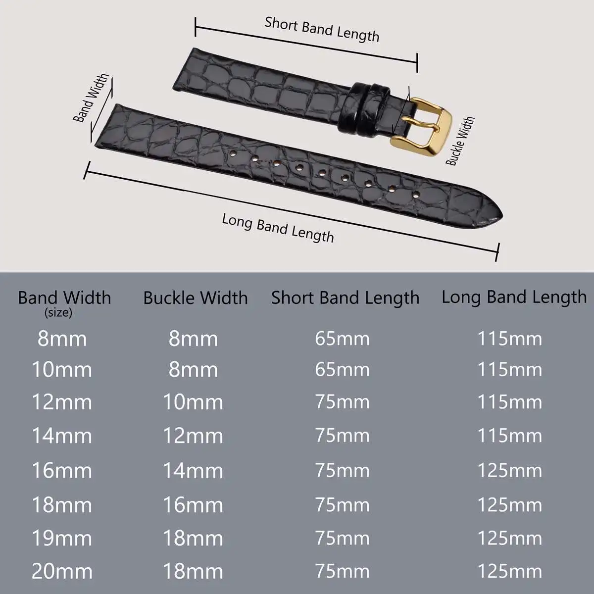 BISONSTRAP Women Watch Straps, Leather Replacement Bands with Polished Stainless Buckle, 8mm 10mm 12mm 14mm 16mm 18mm 19mm 20mm