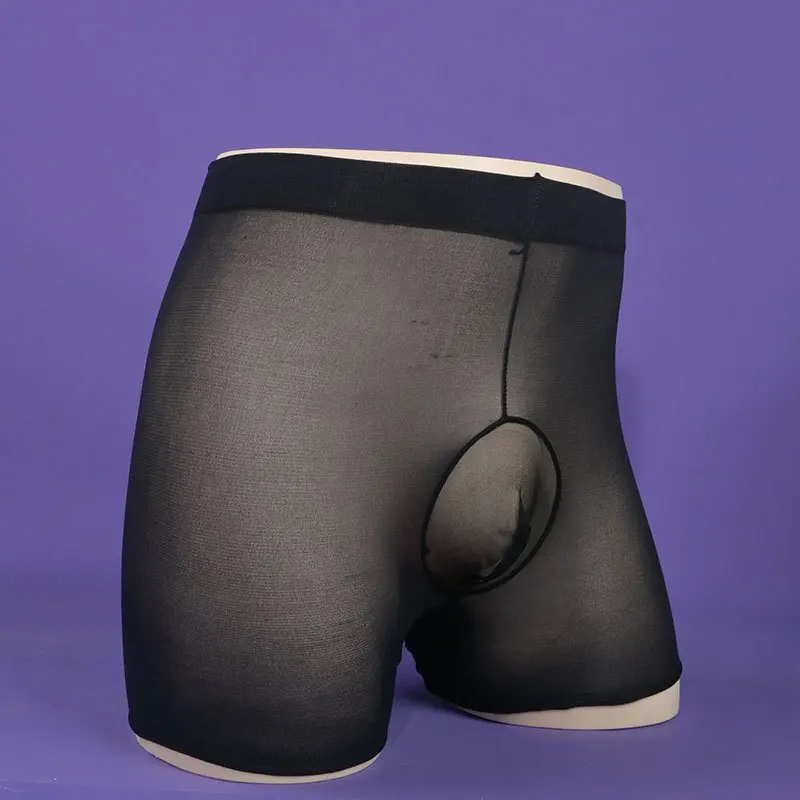 Mens Sexy Panties Transparent Underwear Crossdresser Pouch Bullet Separation Underpants Elastic Silky Smooth Seamless Boxers