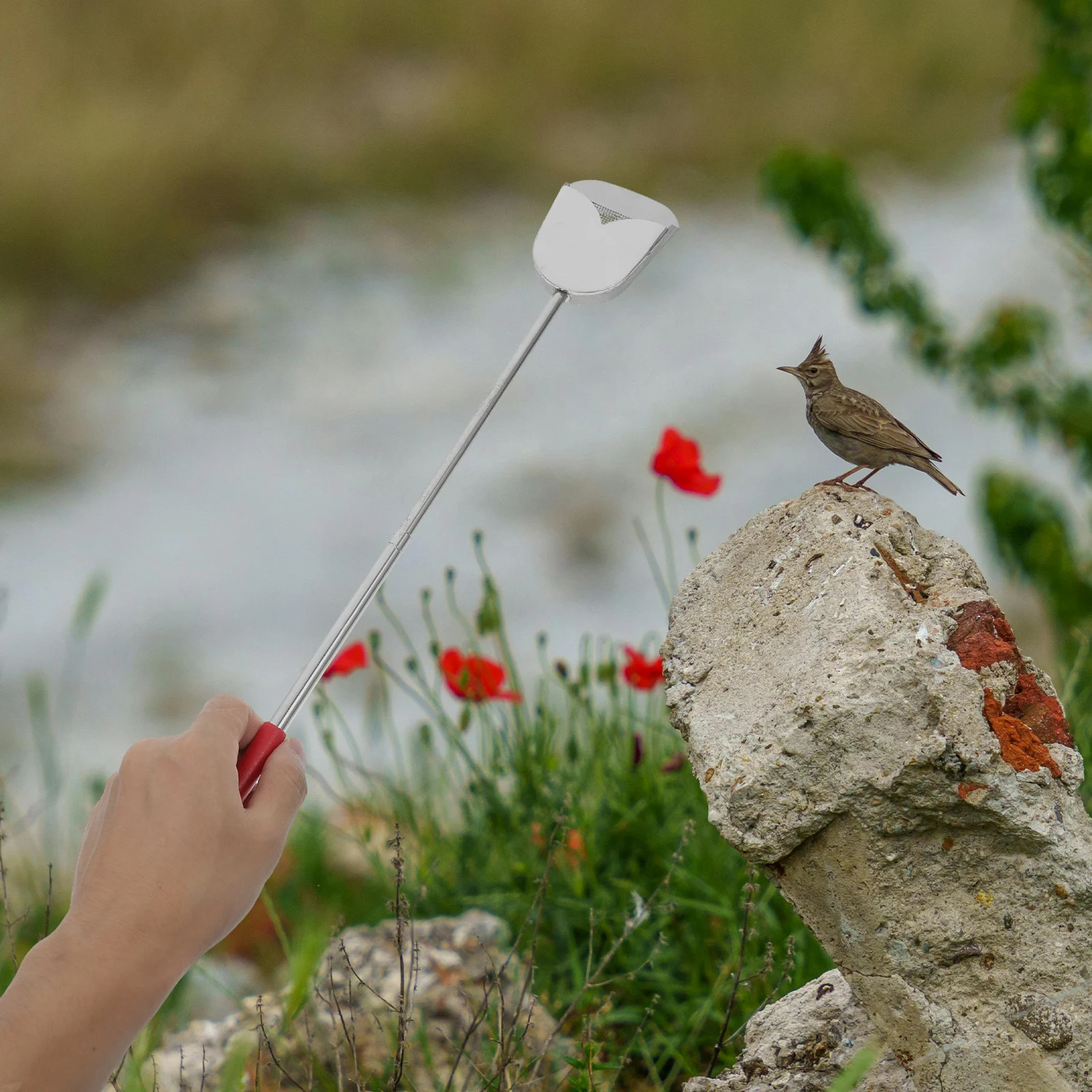

Adjustable Poop Scooper Stainless Steel Extendable Handle Litter Scooper For Chicken Coop Cleaning Tools Pet Supplies