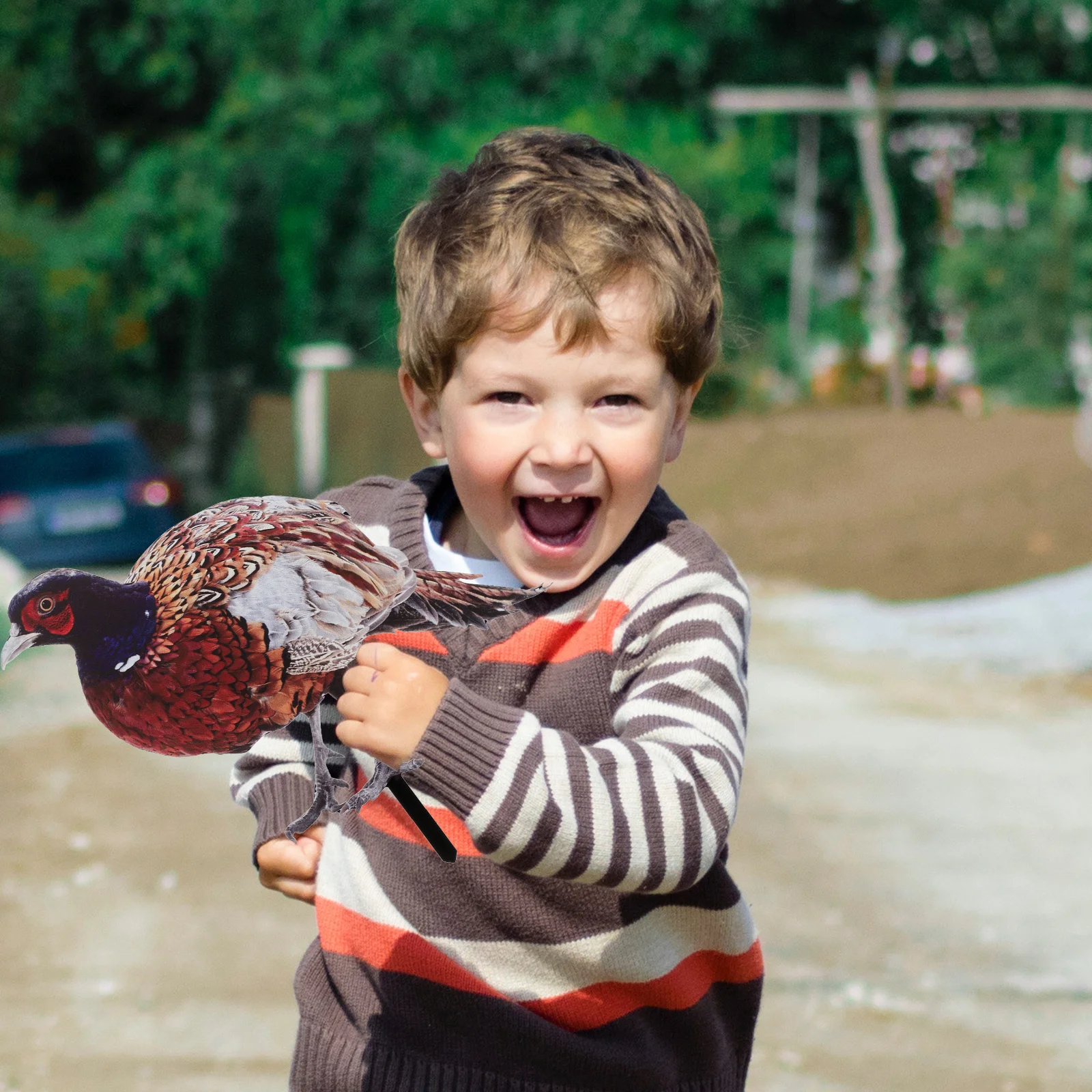 

Acrylic Garden Pheasant Stake Decoration Lifelike Double-Sided Realistic Yard Lawn Ornament Outdoor Garden Stake Sign