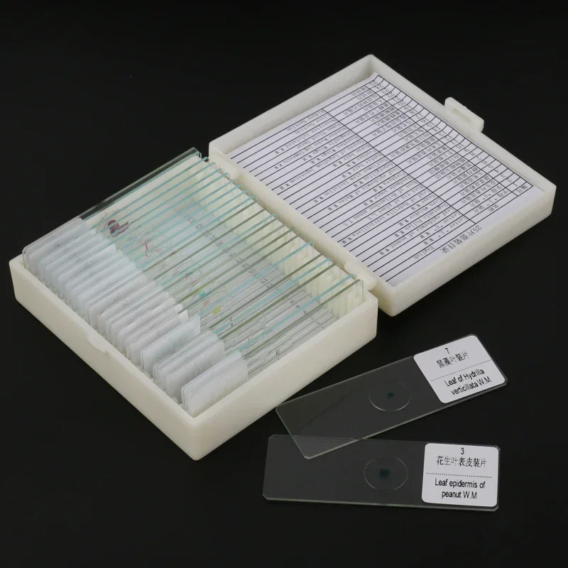 Different Kinds Prepared Biological Microscope Glass Slides for Student Biological Science Education Studying