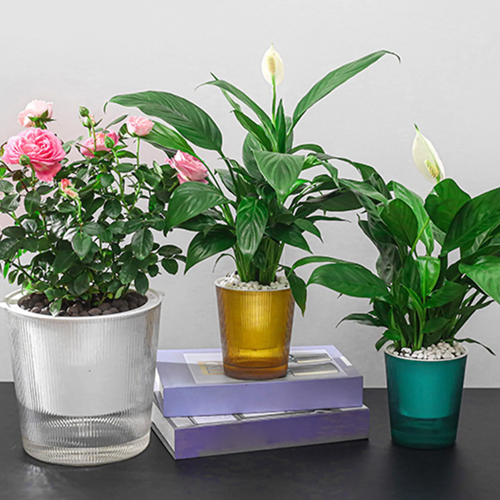 Water-Absorbing Plant Flower Pots Modern Style Transparent Plants Flowers Pots for Garden Enthusiast Lover Gift