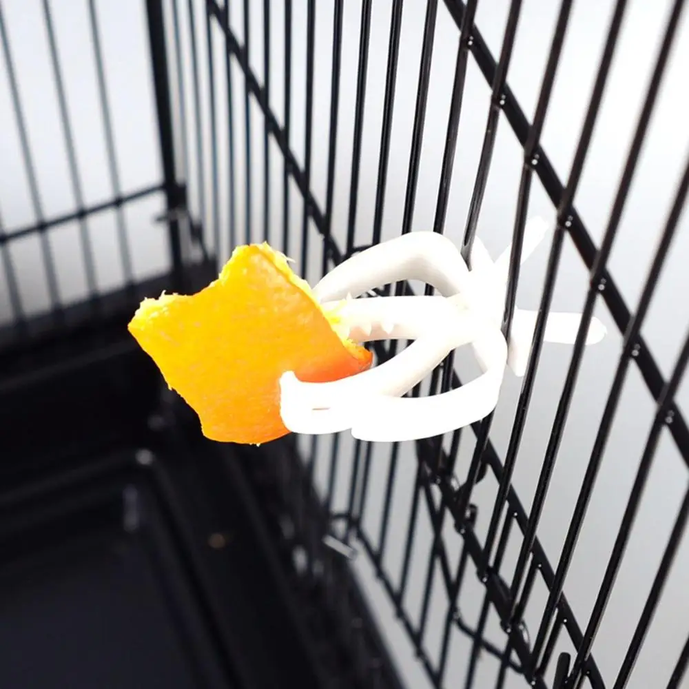 

Cockatiel Conure Fruit Plastic Pet Vegetable Parrot Feeder Feeding Clamp Cuttlebone Clip Bird Food Holders