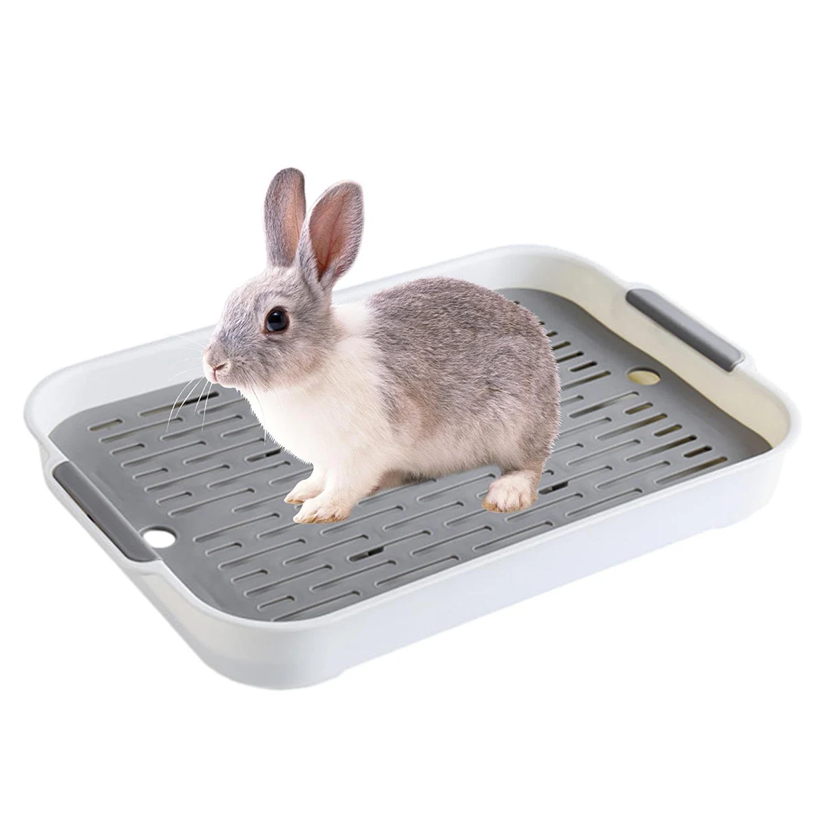 Caja de arena para conejos, bandeja de inodoro pequeña para mascotas, bandeja de arena para conejillos de indias, caja de inodoro, bandeja de drenaje para vasos, accesorios para beber