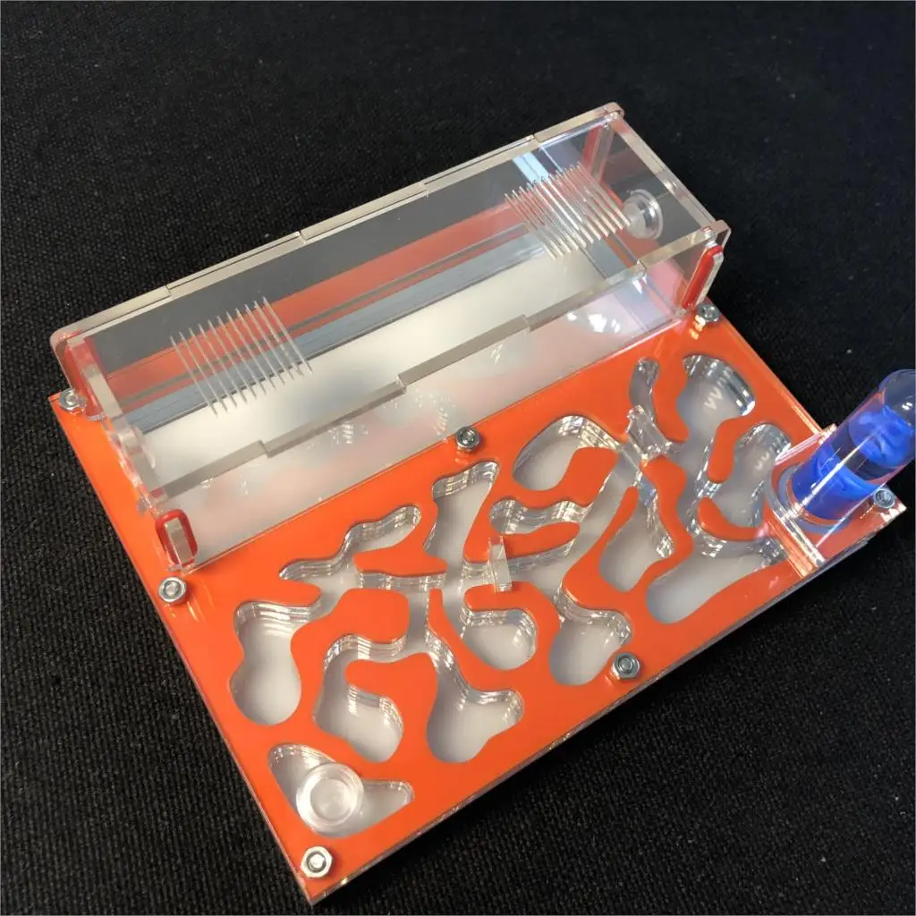 Acrylic Test Tube Ant Farm 1