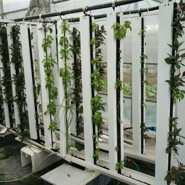 Sistem Hidroponik Vertikal NFT - Hydroponic Nft Channel ulasan dan harga