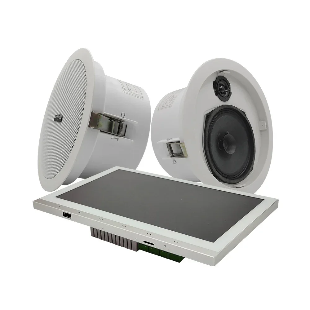 2026 10 Inch IPS Display Amplifier Ceiling Speaker Combos Bass Music Equipment