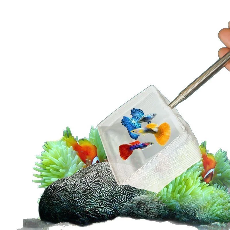Ausziehbares Aquarium-Fischernetz mit langem Griff und Saugnapf zum Fangen von Fischen und Garnelen, Reinigungszubehör für Aquarien – Detail 3