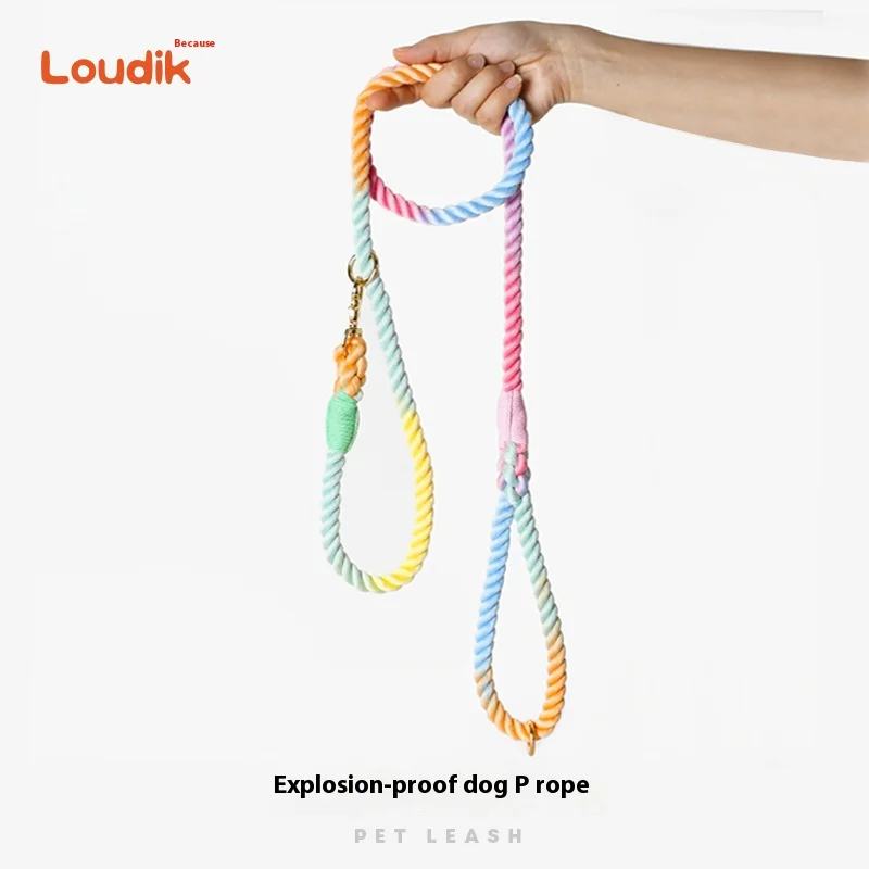 Loudik Color Explosion-proof Cotton Rope Pet Dog Leash Explosion-proof Punch Training with Delicate Snap Pet Accessories