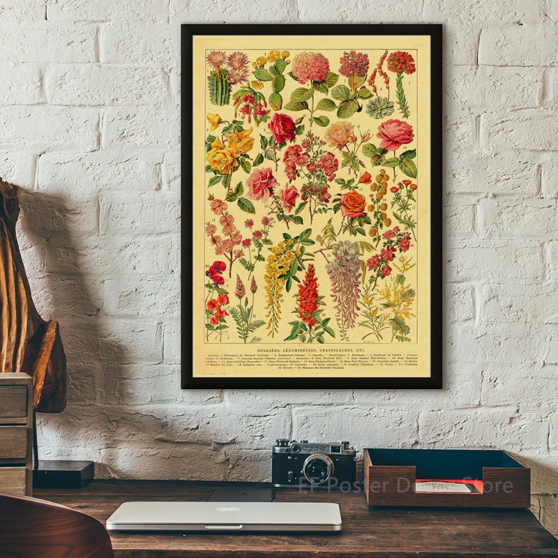 Antique Botanical Illustration Poster Bird Fruit Plants Flowers Prints Vintage Home Room Kitchen Garden Decor Art Wall Painting