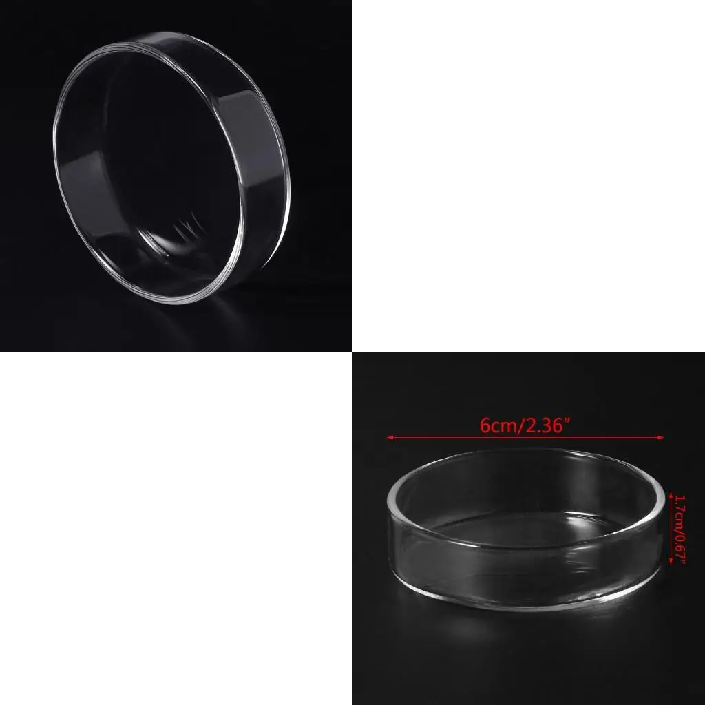 Ornamental Fish Feeding Bowl Pet for Cat Dog Feeder Storage Plate