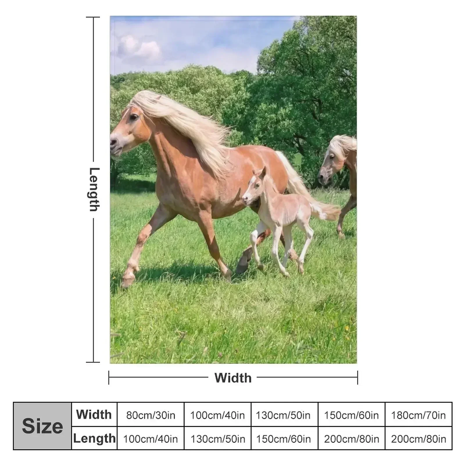 Haflinger horses run together Throw Blanket couch cozy soft plush fuzzy picnic outdoor blanket