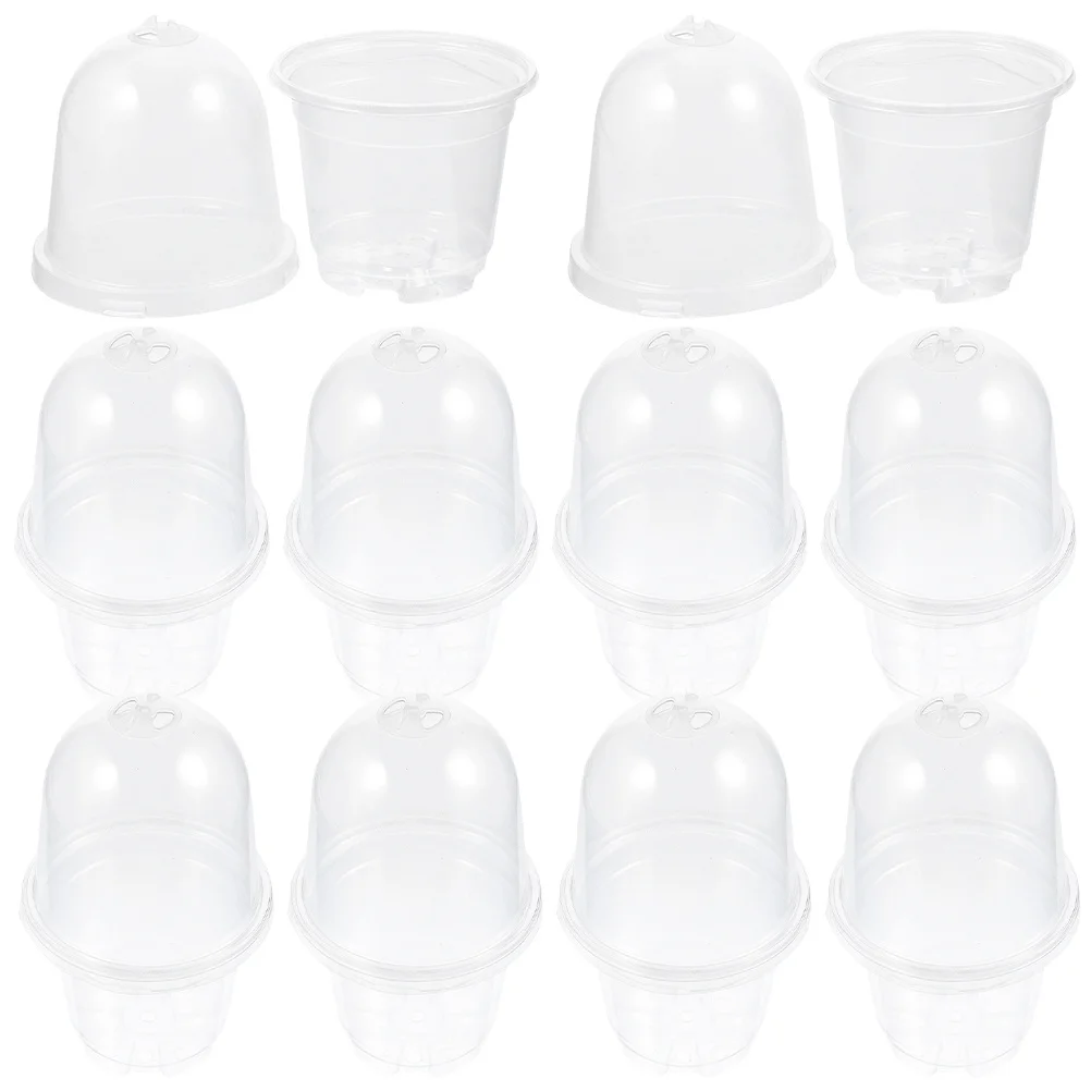 مجموعة واحدة من أواني الحضانة البلاستيكية الشفافة مع فتحات تصريف لزراعة الشتلات النضرة في الأماكن المغلقة والخارجية أوعية الحضانة الشفافة