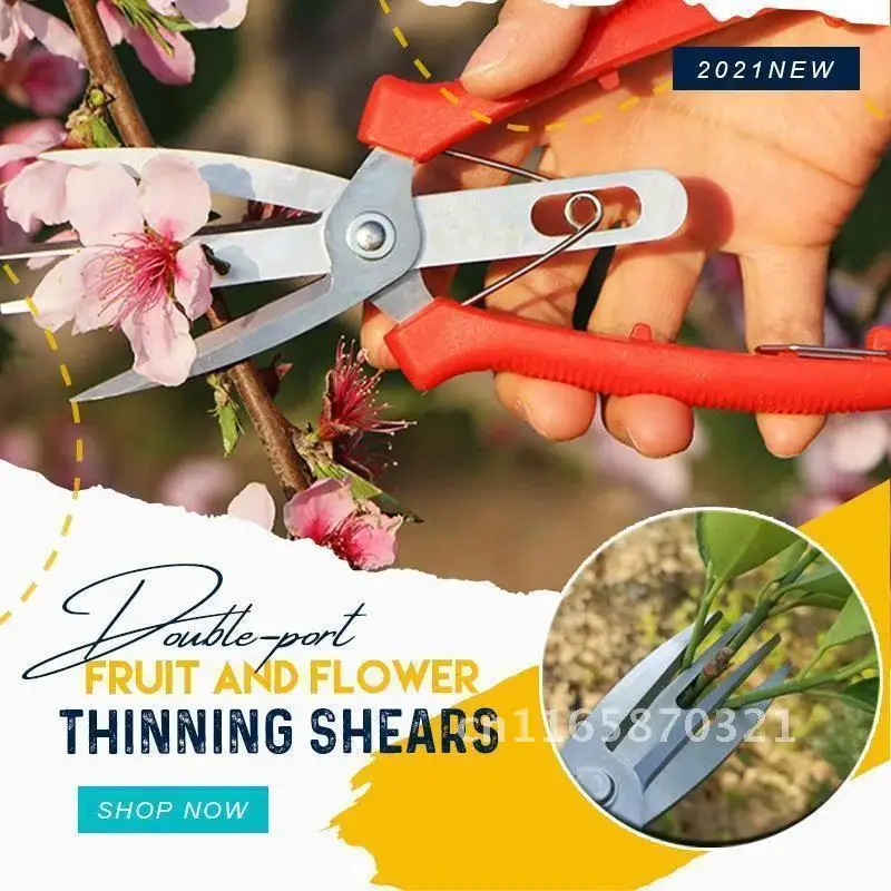 

Double-edged Fruit Picking Scissors Garden Pruner Shears Citrus Tree Flower Cultivating Solid Snip