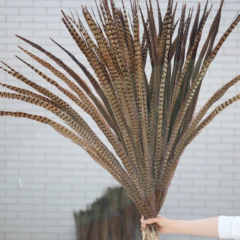 Pheasant Tail Feathers 25-100cm, Natural Chicken Feather for Cat Toy, Opera Prop Craft Decoration