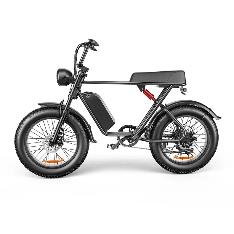 Electric bike C91 powerful 2000w dual motor 48v 20ah lithium battery Electric Bicycle 20 inch fat tire mountain off-road E-bike
