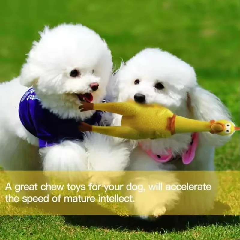 Chicken Squeezing Sound Ornament 2PCS Chicken Screaming ，Pet Dog Chewing Ornament Durable and Fun Yellow Rubber Breathable