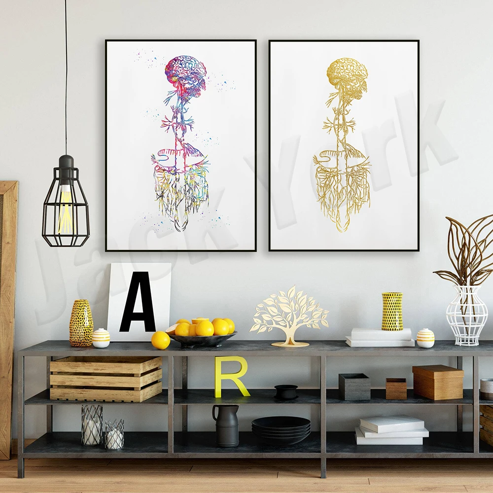 Vagus Nerve Artistic Parasympathetic Nervous System Poster, Medical Watercolor Print Decoration