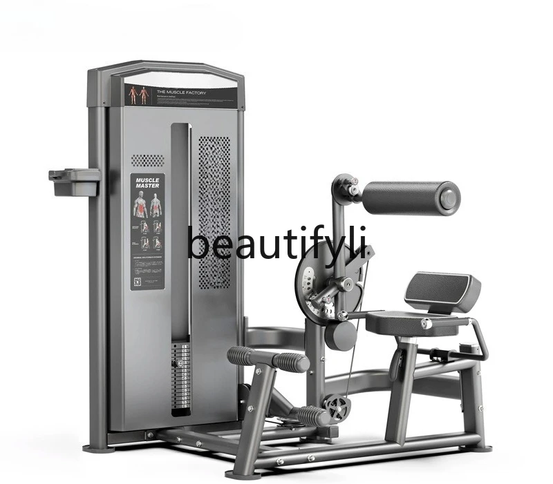 

Trainer Gym Commercial Waist and Abdominal Muscle Training Equipment Waist and Abdominal Lift Trainer