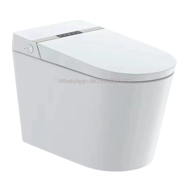 

Intelligent Toilet Bowl For Patients Eco Sanitary Ware Wc Girl Smart Automatic