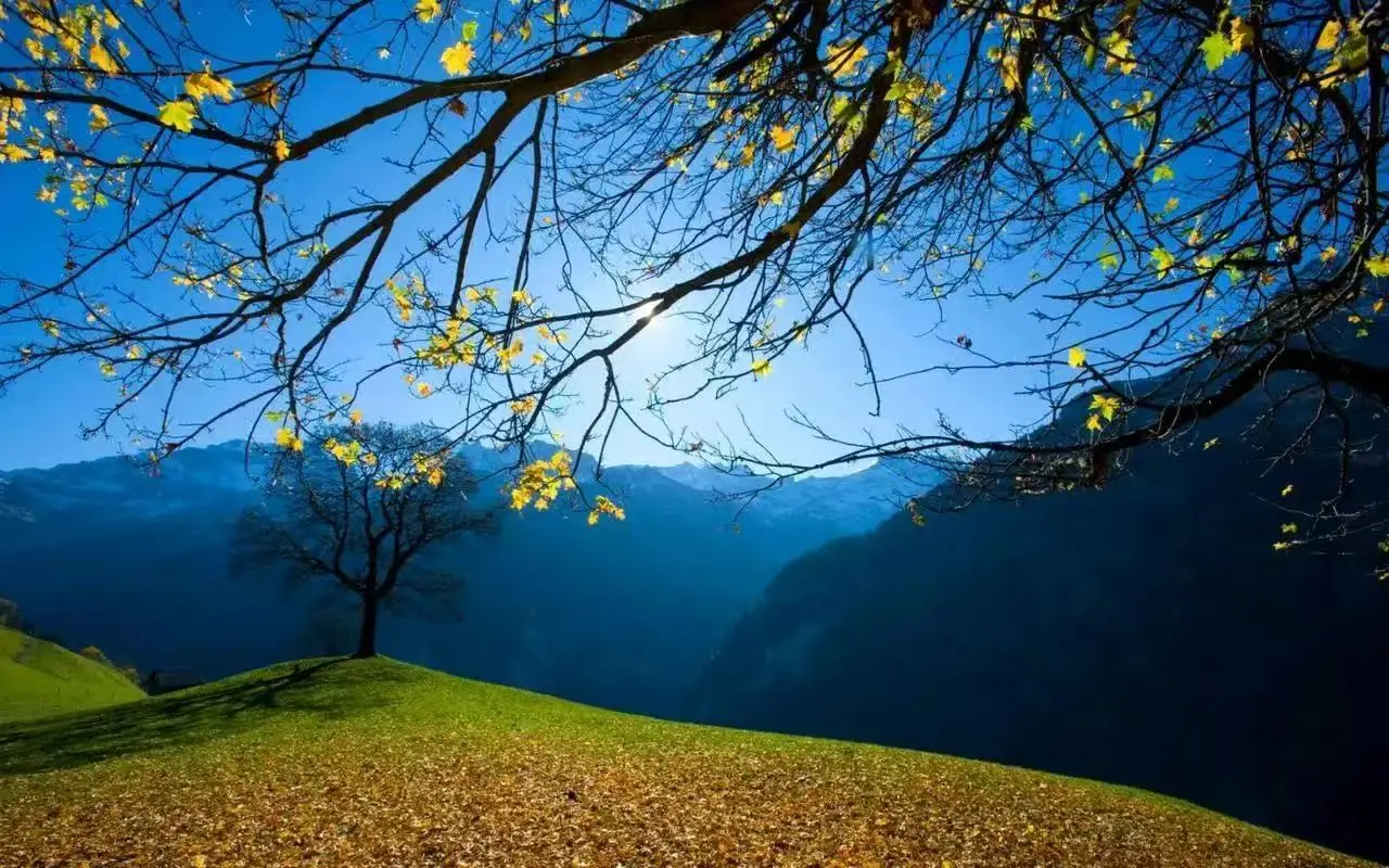 

EMSZERO NEO RF HIEMT EMS Body Sculpting Machine Electrical Muscle Stimulator Fat Burner Weight Loss Butt Lifter Shaper Body Care