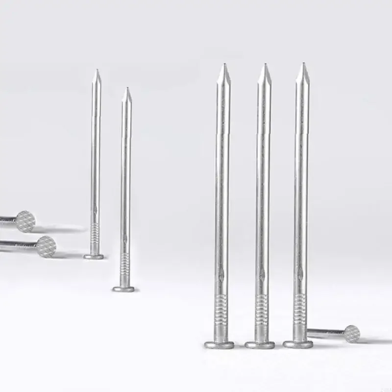 Outdoor Use Nails Assorted Steel Nails Picture Hanging Nails for Reliable Use in Home Decor and Construction Projects