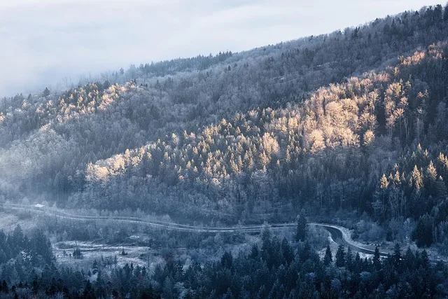 

SIYI HM30 Directional Patch Antenna - 21dB/17dB High Gain, Compatible with HM30 Ground Unit for FPV Long-Range Systems