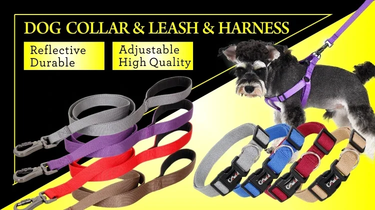 Pet Products Best Selling Pet Collar And Leash For Puppy cute dog collar