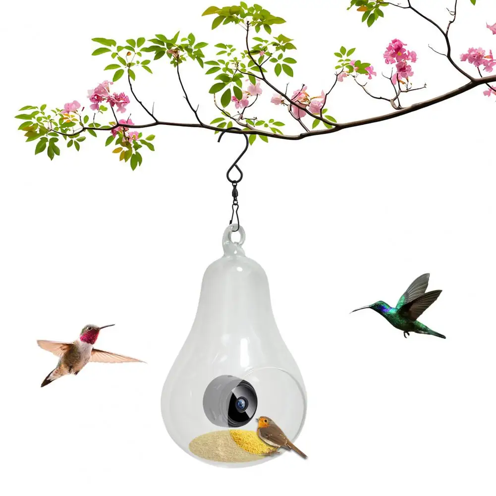 Bird Watching Gadget with Hotspot Connectivity Wifi Bird Feeder Camera Hd-compatible 1080p Real-time Monitoring for Lovers