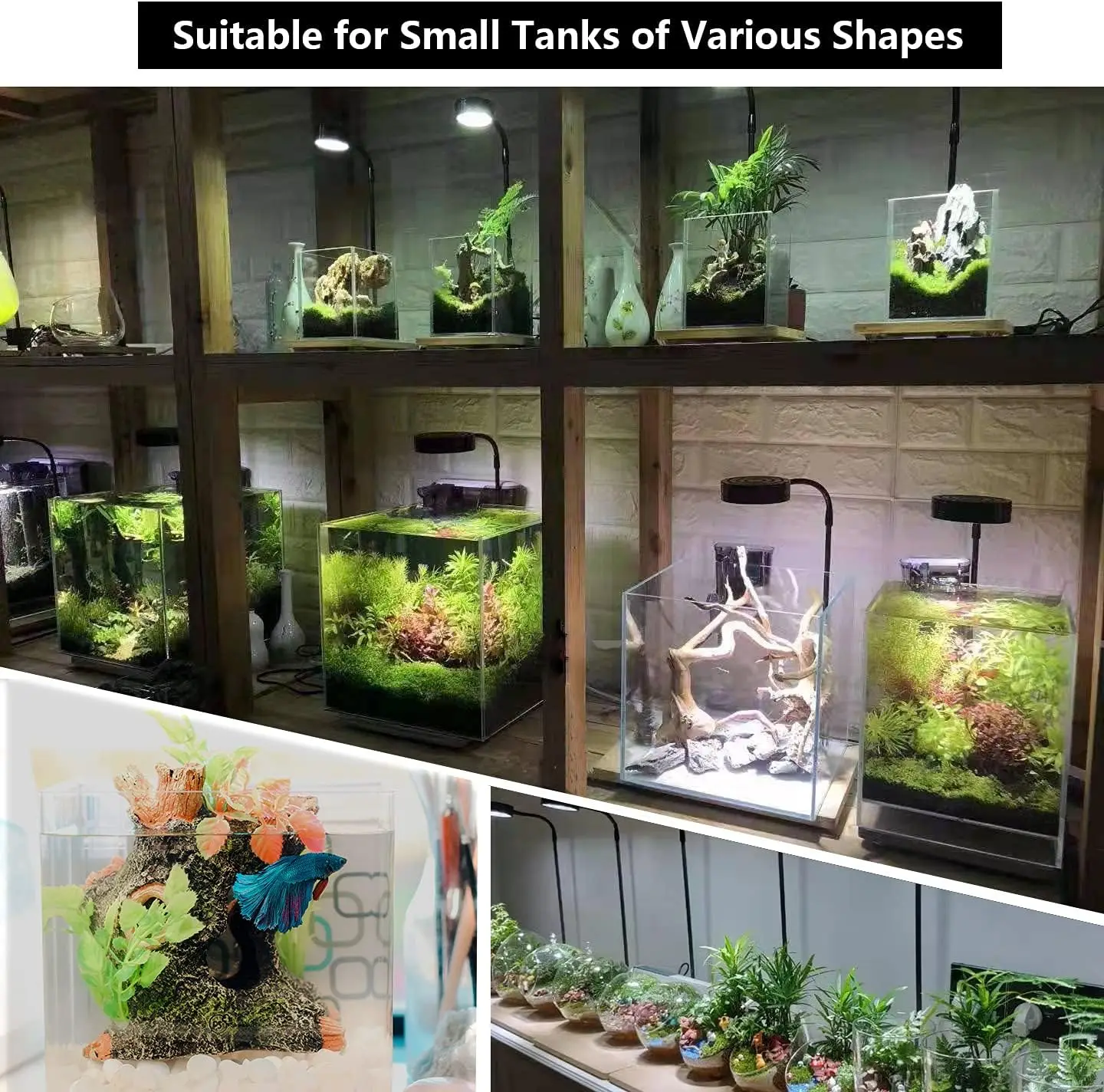 Full Spectrum LED Aquarium Light with Timer Auto On/Off, for Under 7 Gallon Fish Tank, Betta Tank, Indoor Plant Growth, Potted Plants, Succulent, Miniature Garden Landscape