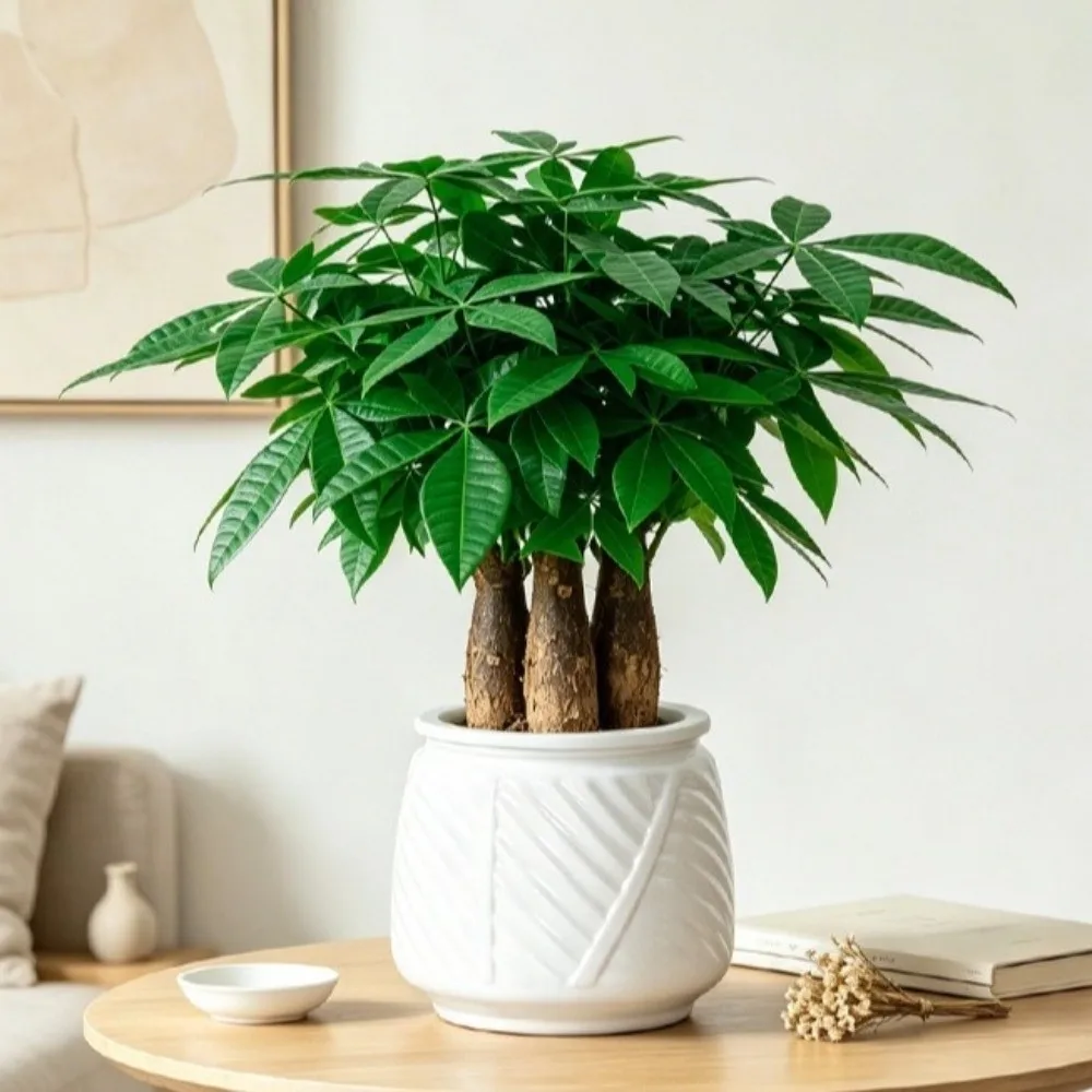 Fashion Self Watering Hydroponic Plants Pot Plastic Removable Flowerpot Mini Succulent Planter Tabletop Vase