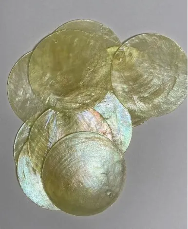 

30Pcs Round Shells Wedding Decor Elegant Discs DIY Wind Chimes Home Accessories Shell DIY Charms