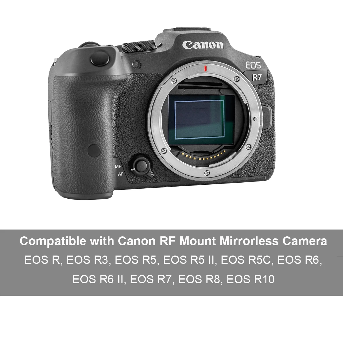 캐논 RF 마운트 미러리스 카메라 EOS R R3 R5 R5II R5C R6 R6II R7 R8 R10용 Kase 클립인 CMOS 필터, MC 광학 유리