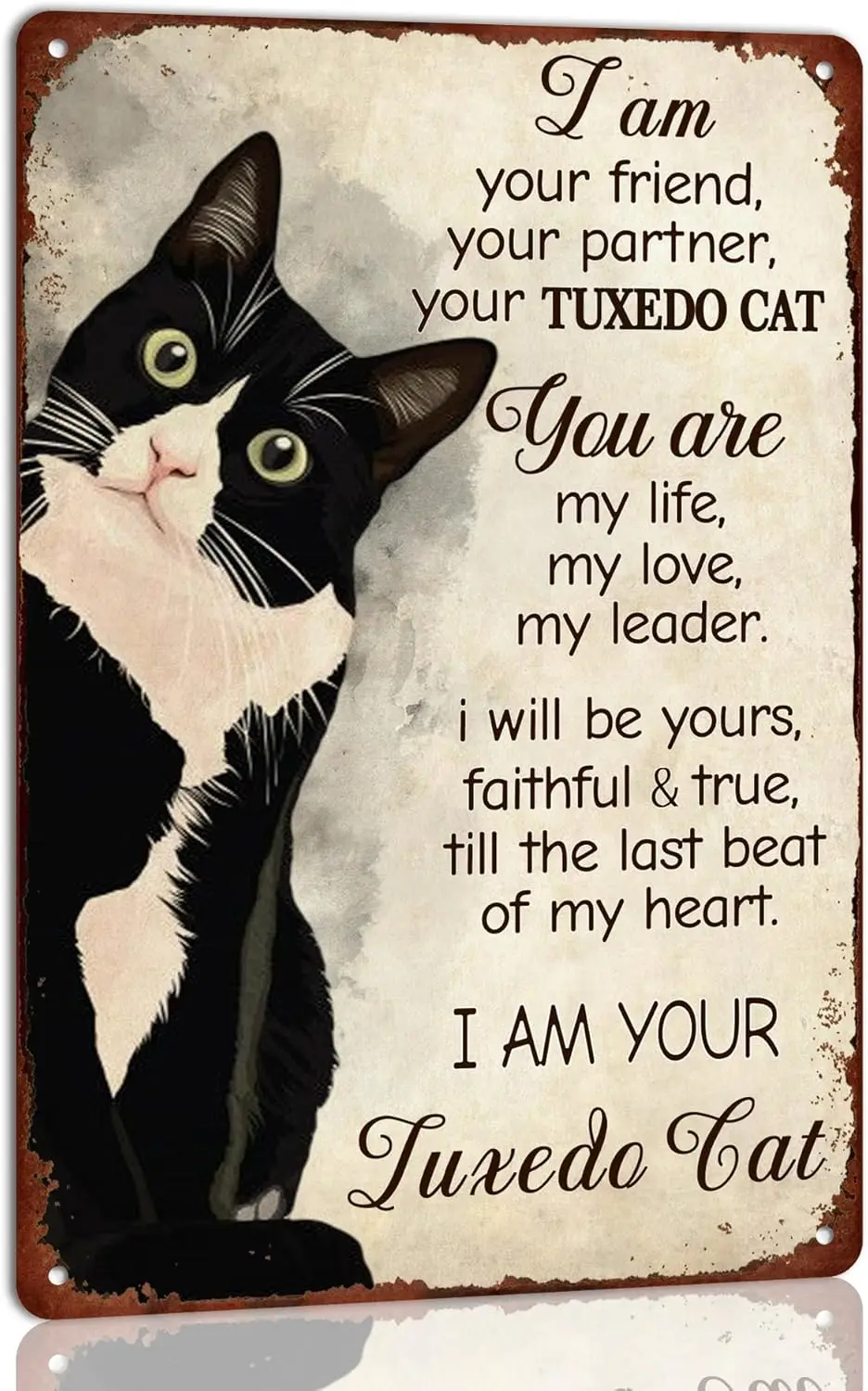 Funny Cat Decor Dont Mess With the Tuxedo Tin Sign Cat Vintage Metal Tin Sign Cat Lover Gift Cat Artwork Wall Decoration Sign fo