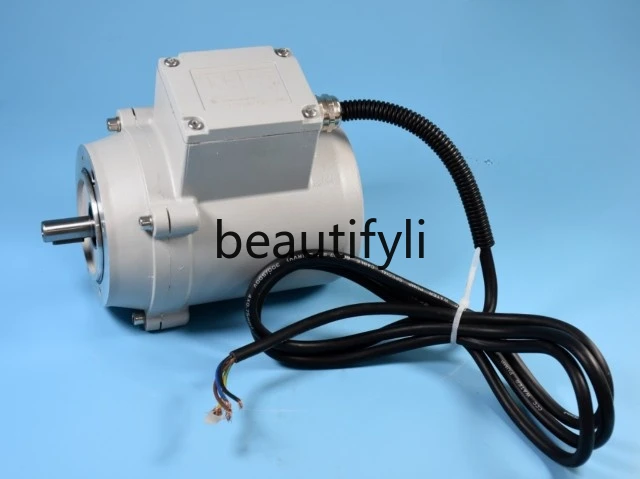 Special brush waterproof motor motor for car washing machine