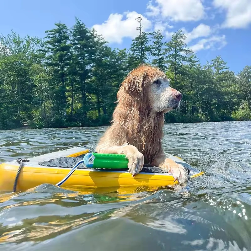 

Cheap Floating Dock Inflatable Pup Plank Inflatable Ramp for Dogs