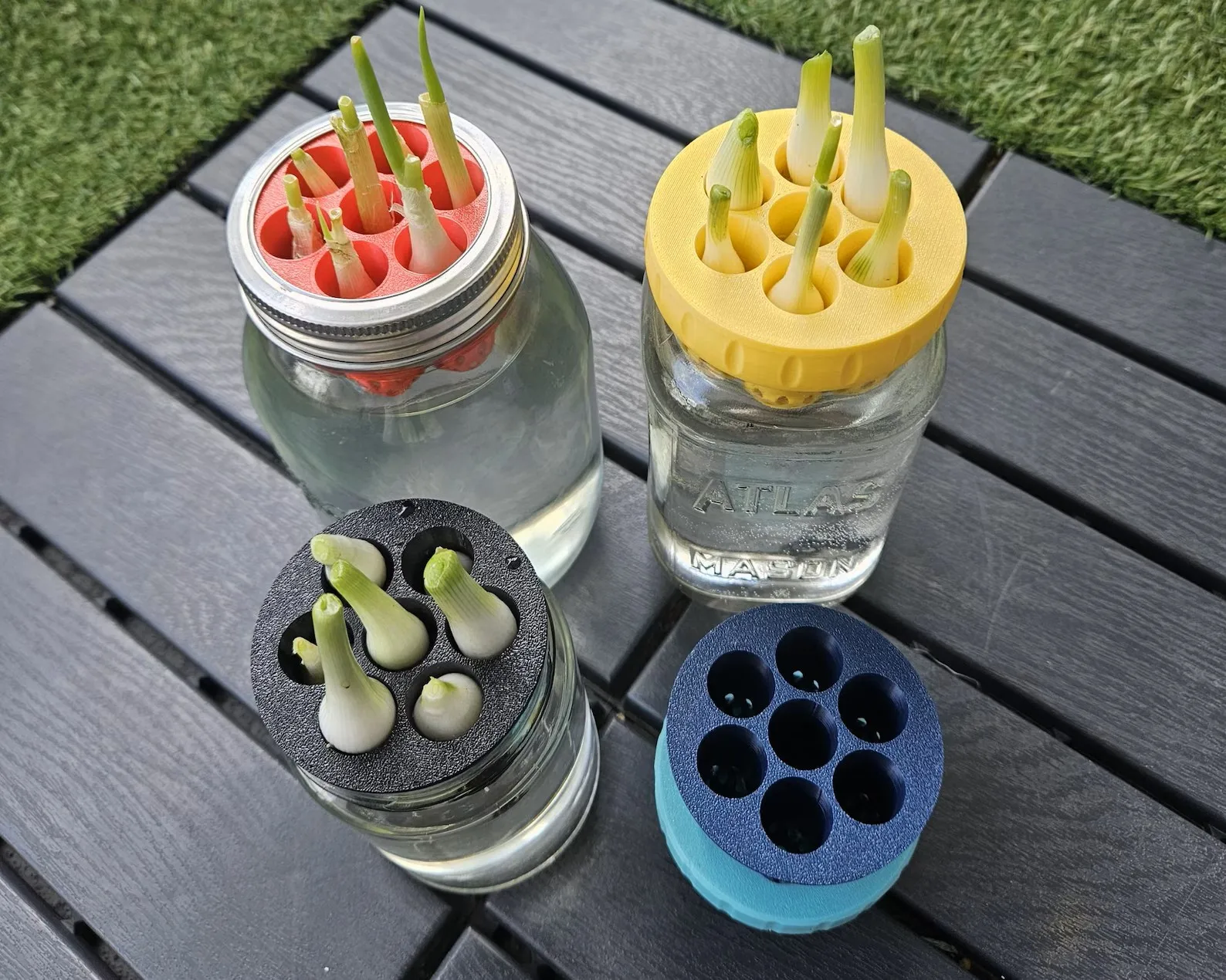 Mason Jar Growing Lid Reusable Green Onion Scallion Chive Regrower Indoor Kitchen Herb Root Regrowth Kit for Wide Mouth(Green)